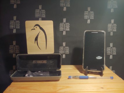 Penguin with real life items